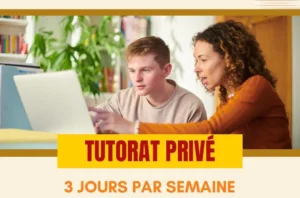 Formation et Tutorat
