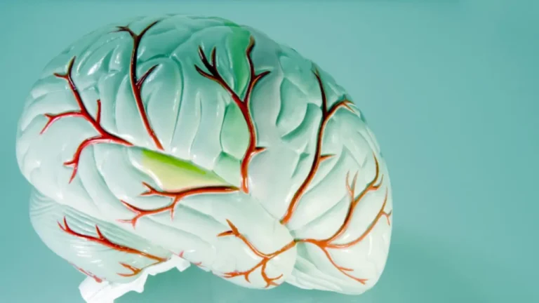 Rajeunissement Cérébral : Retrouvez un Cerveau de 30 Ans Moins 54 rajeunissement cérébral